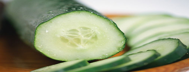 What A Little Gem A Cucumber Is