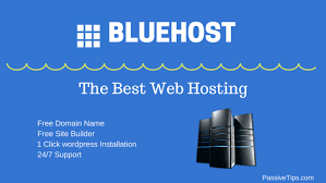 Need A Web Hosting Company For Your Websites?
